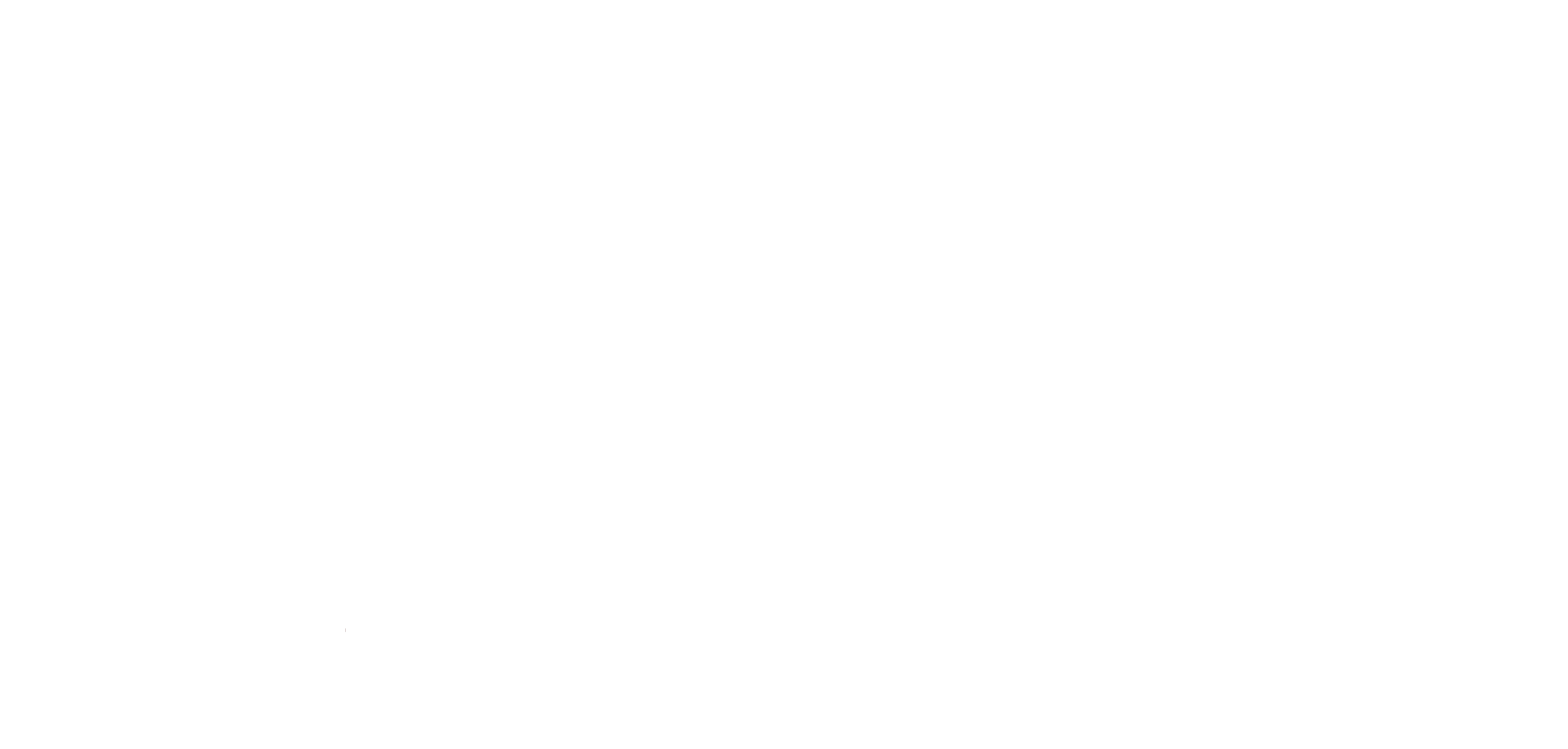 logofooter